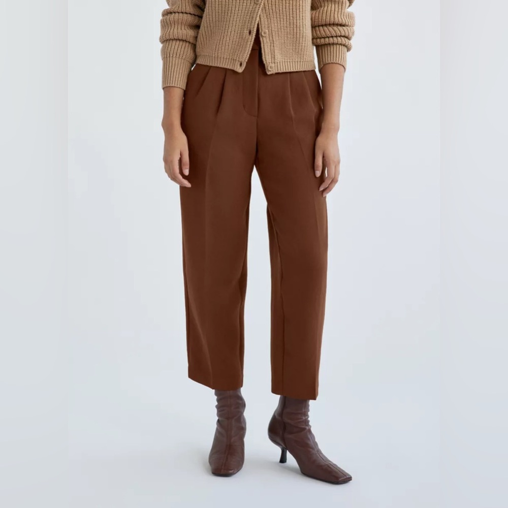 Aritzia Brown Women's Pants